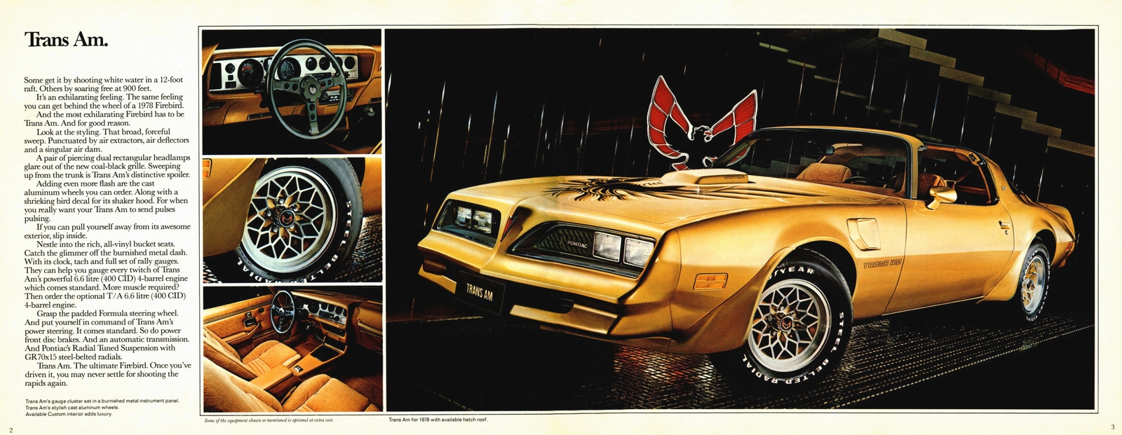 n_1978 Pontiac Firebird (Cdn)-02-03.jpg